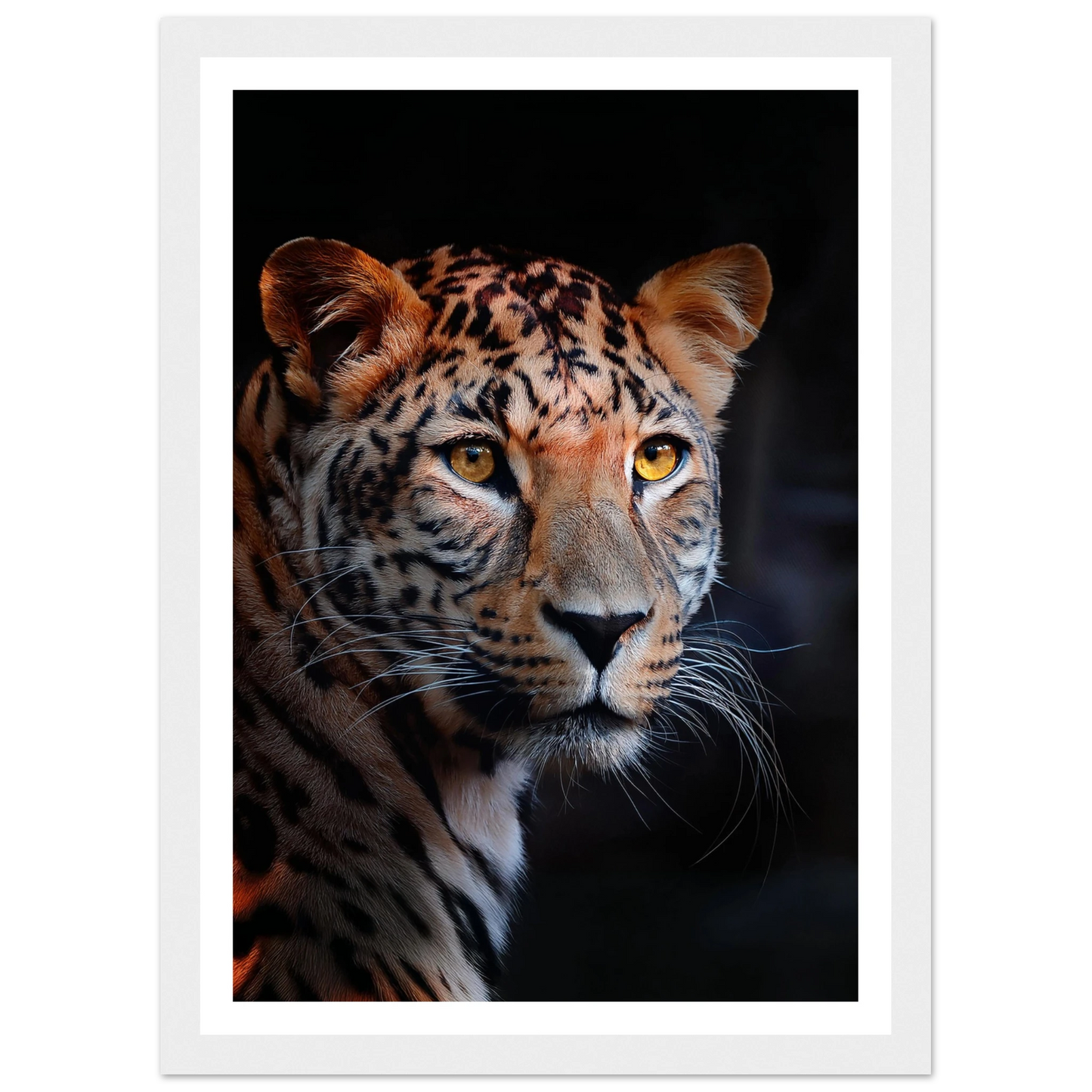Leopard - Poster - Arthena