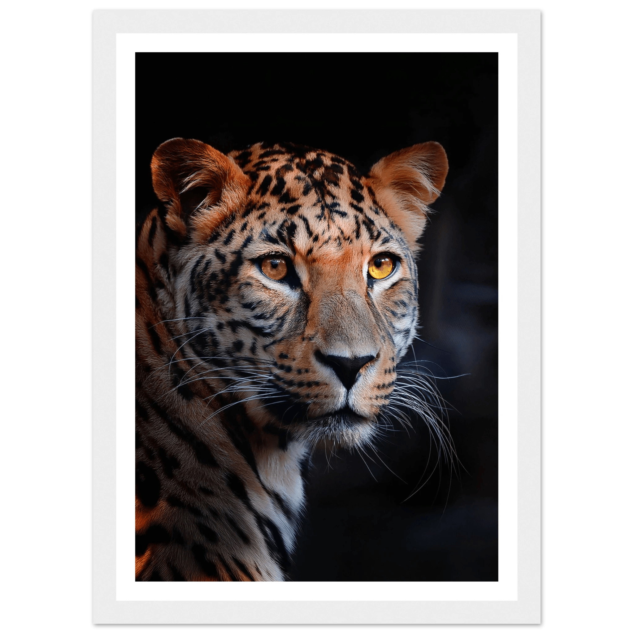 Leopard - Poster - Arthena