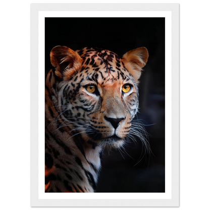 Leopard - Poster - Arthena