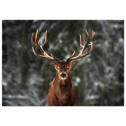 Stag in snow - Poster - Arthena