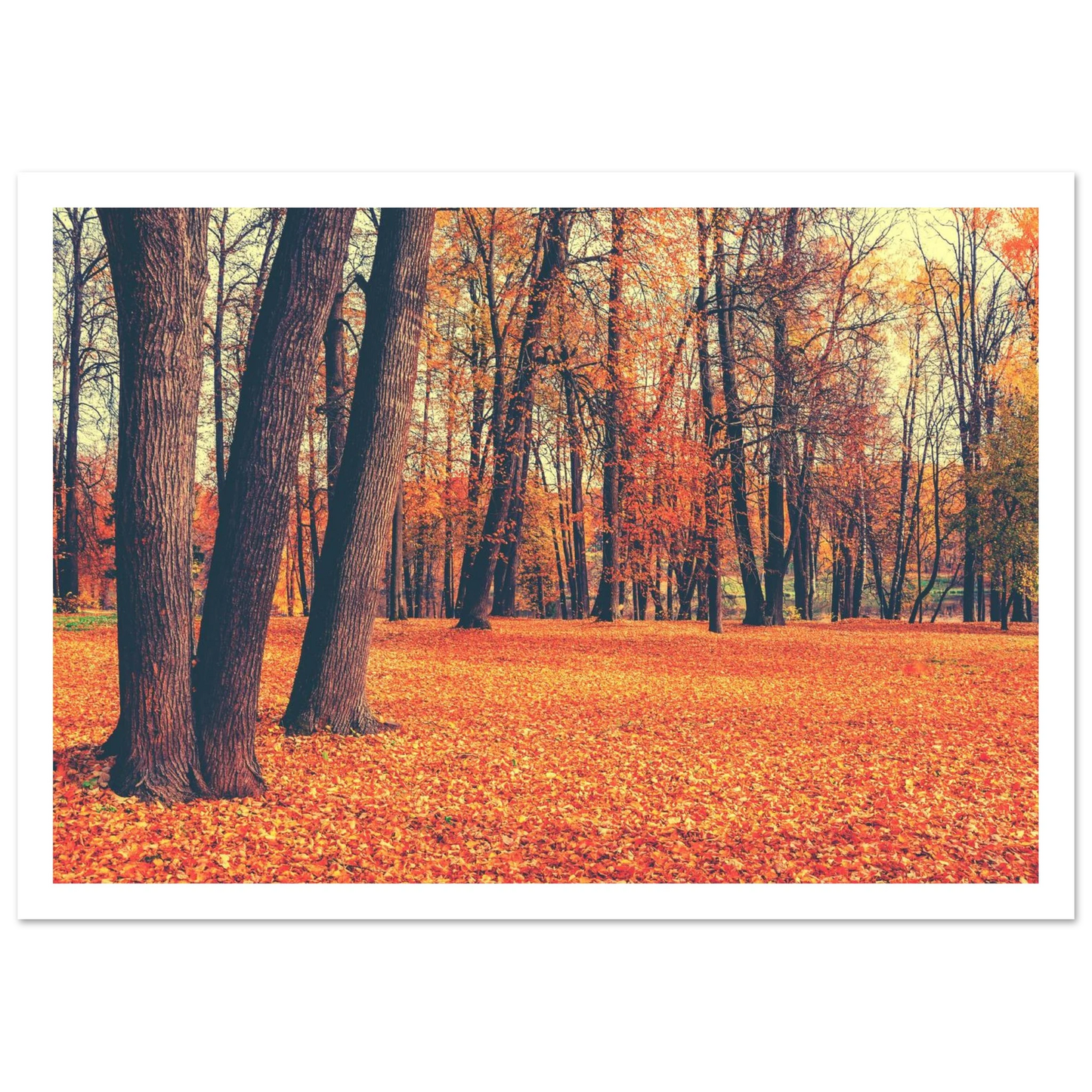 Autumn Carpet - Poster - Arthena