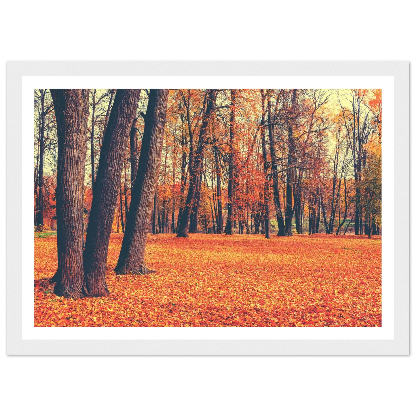 Autumn Carpet - Poster - Arthena
