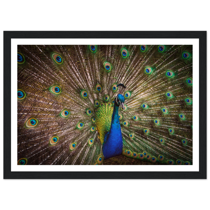 Crown of feathers - Poster - Arthena