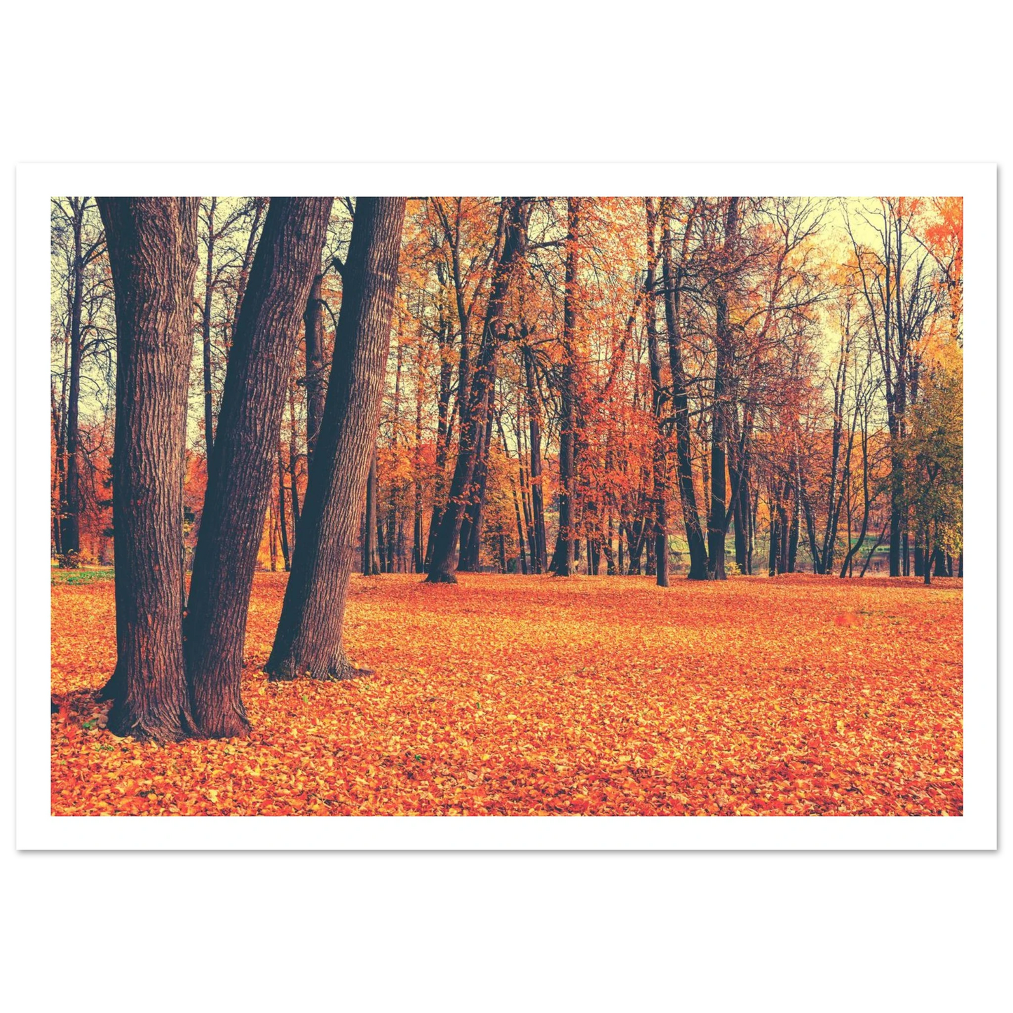 Autumn Carpet - Poster - Arthena