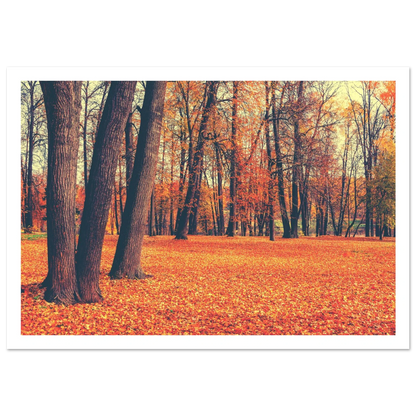 Autumn Carpet - Poster - Arthena