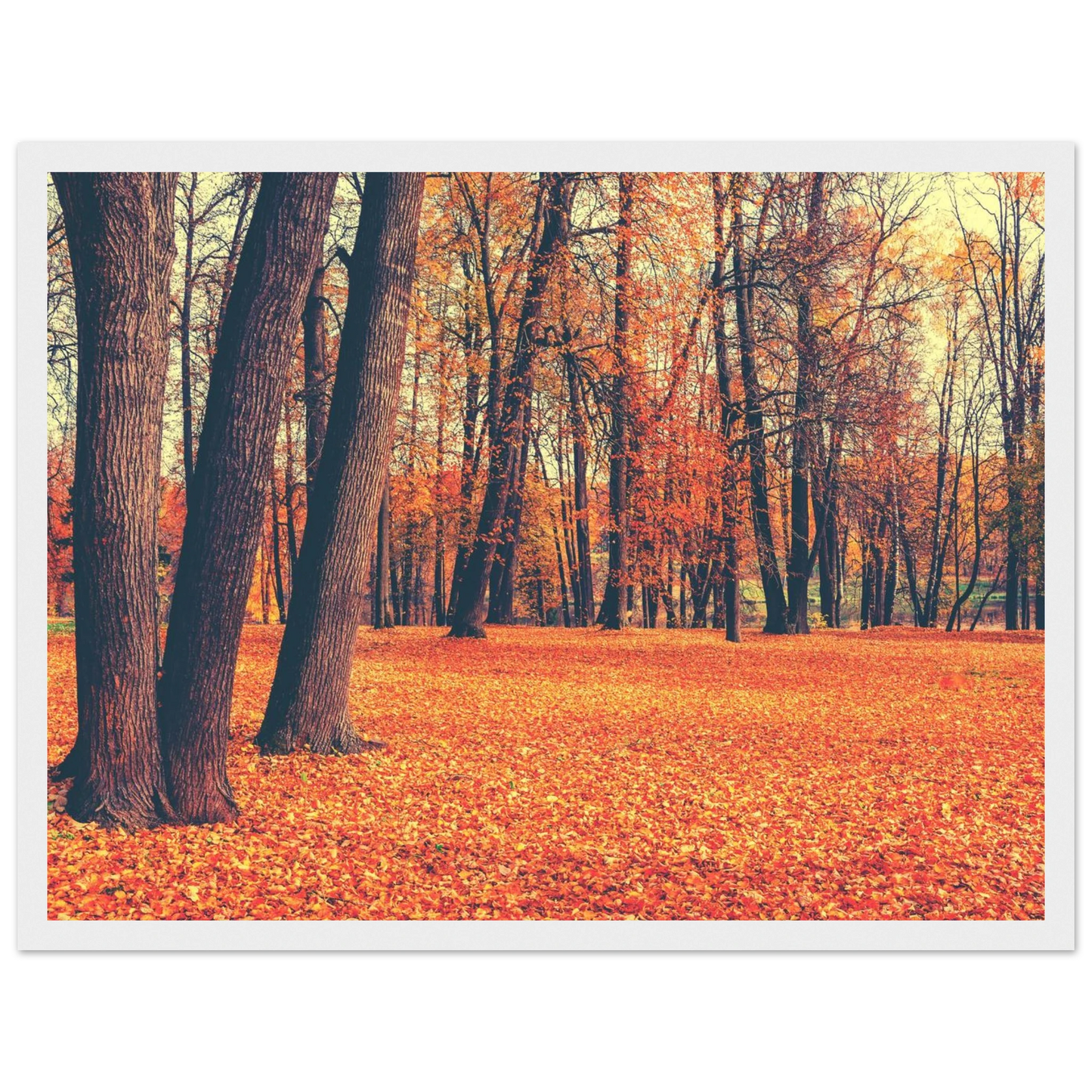 Autumn Carpet - Poster - Arthena