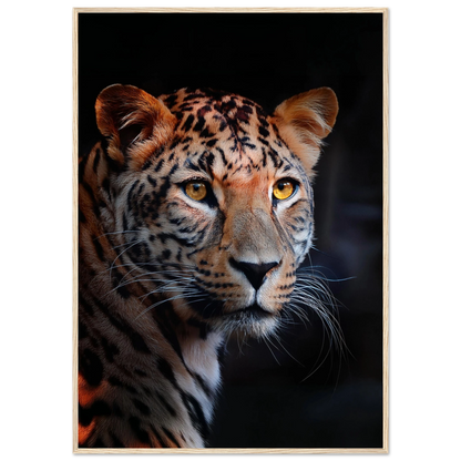 Leopard - Poster - Arthena