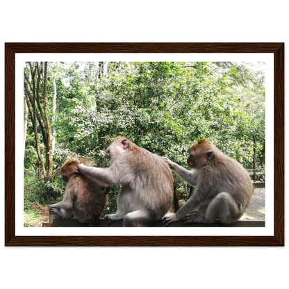 Monkey Scratchers - Poster - Arthena