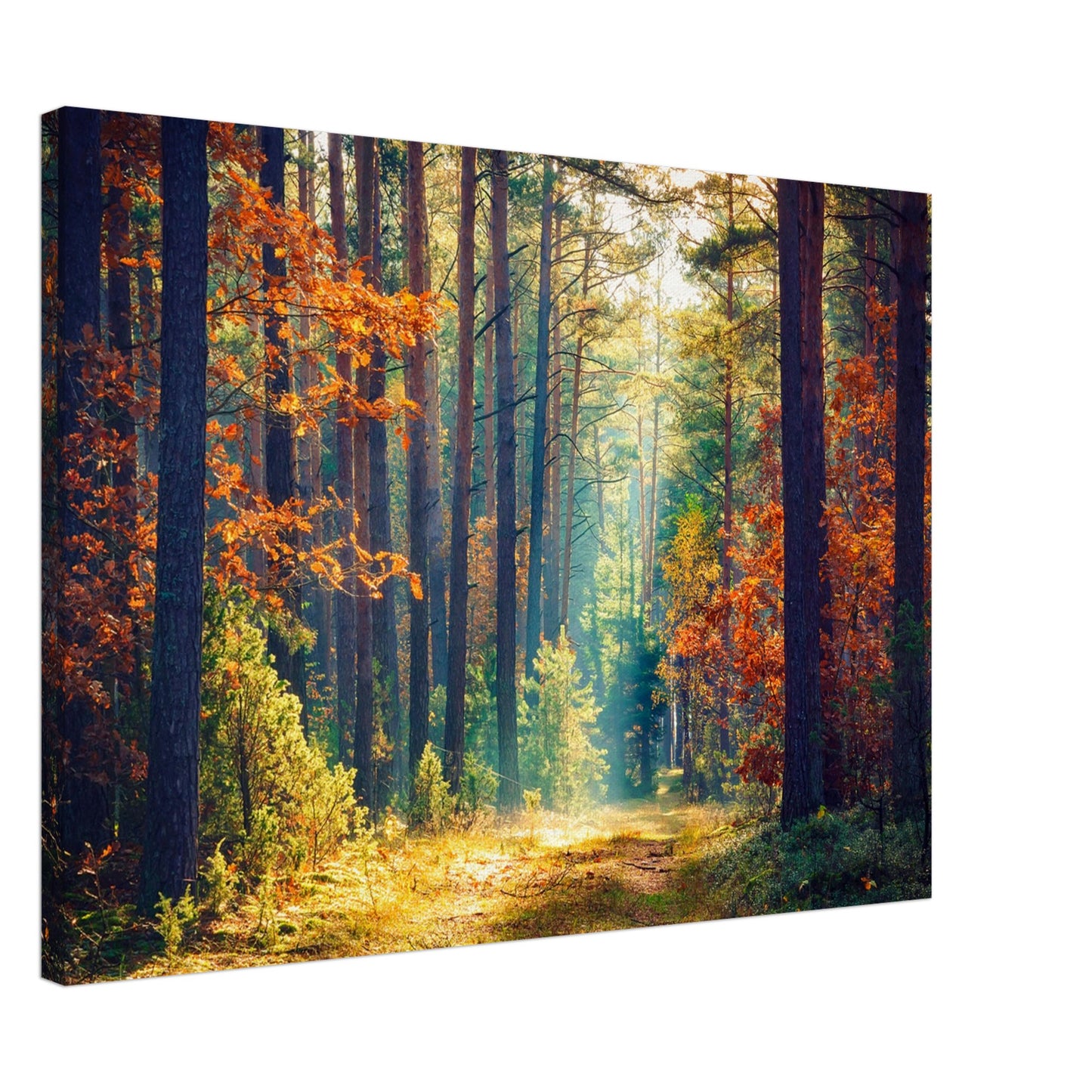 Path of autumn glow - Canvas - Arthena