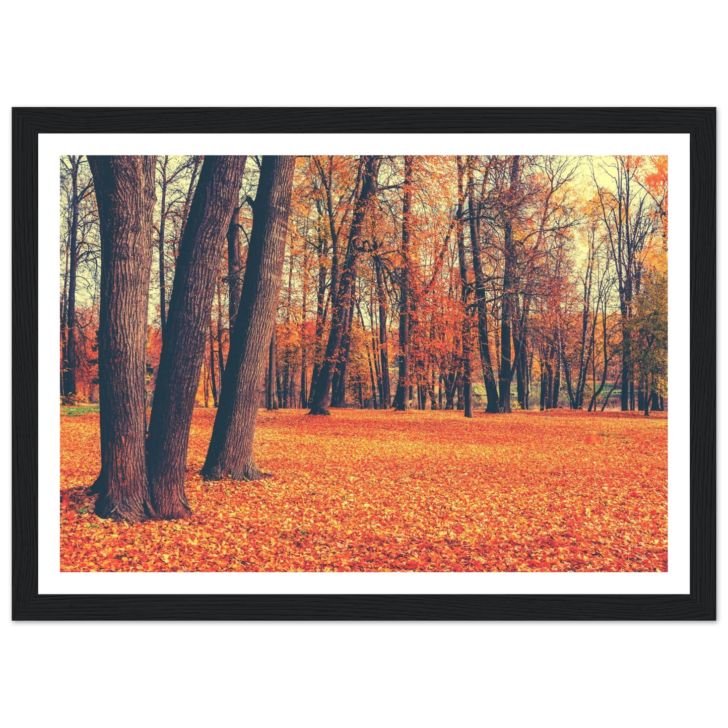 Autumn Carpet - Poster - Arthena