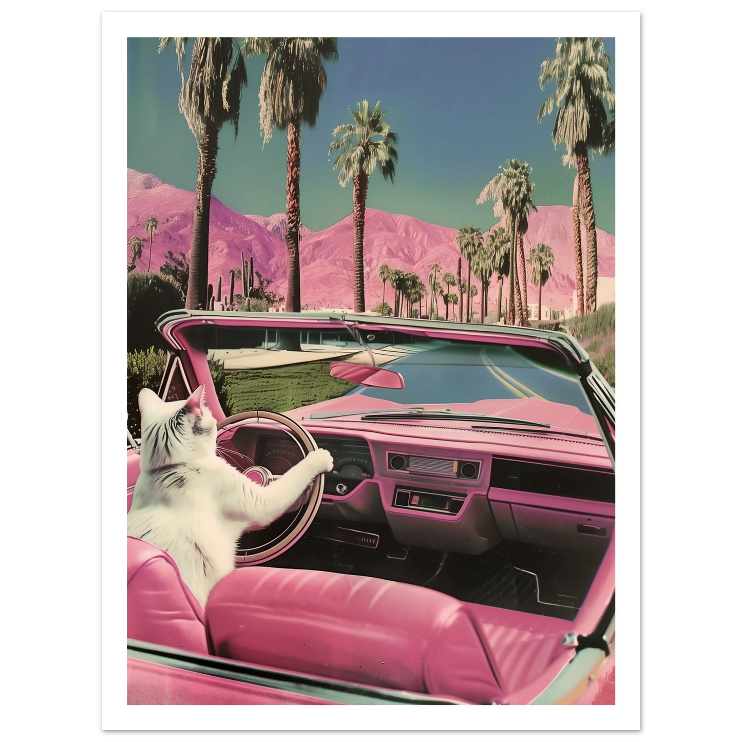 Feline Dreams - Poster - Arthena