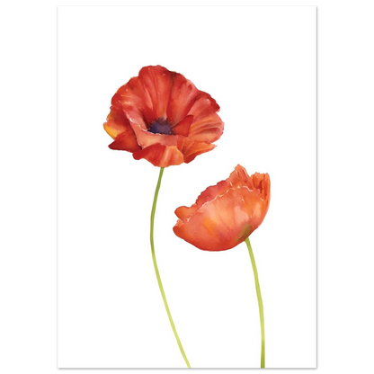 Watercolor Red Poppies - Poster - Arthena