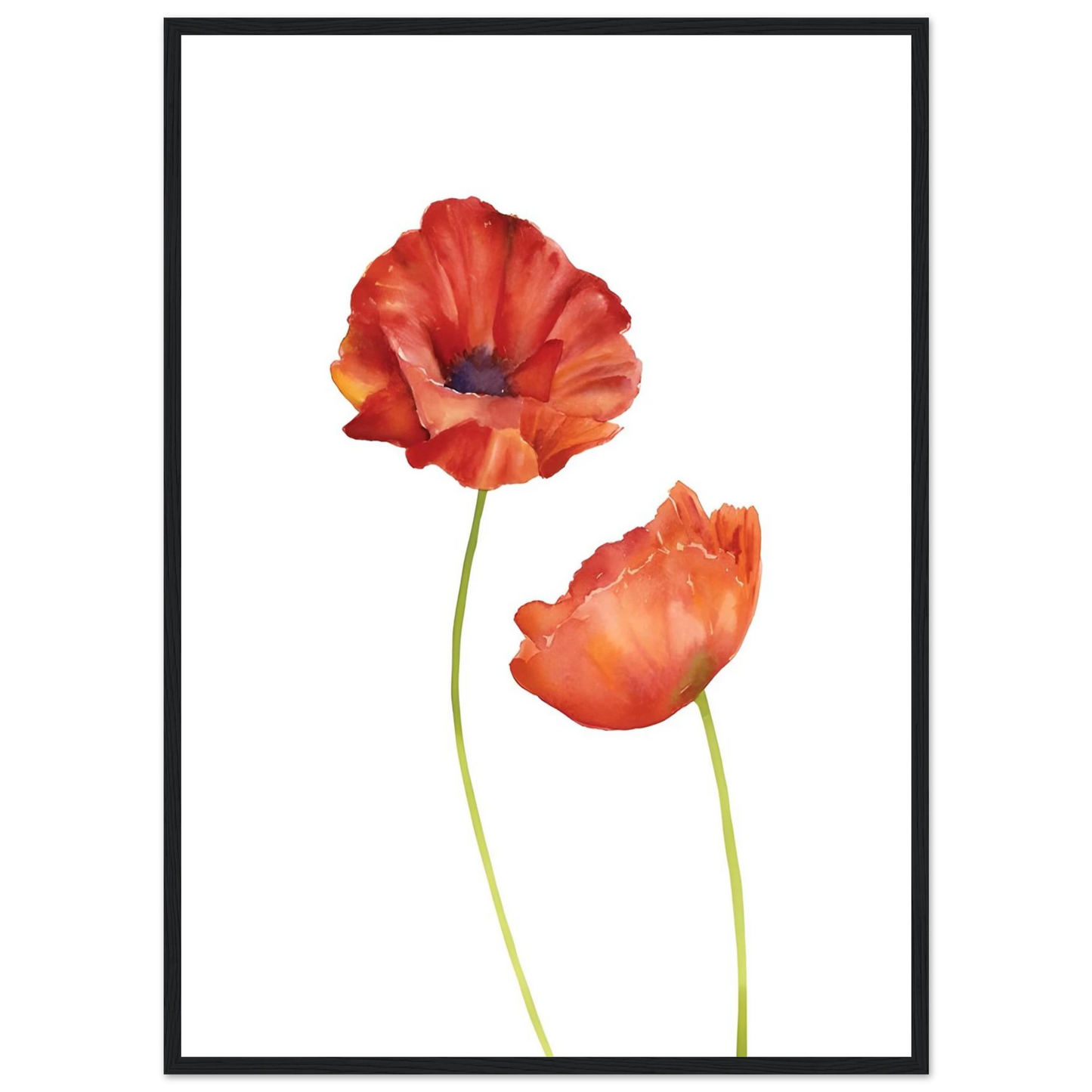 Watercolor Red Poppies - Poster - Arthena