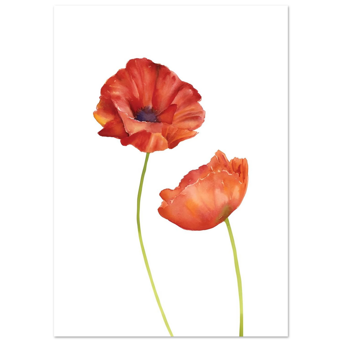 Watercolor Red Poppies - Poster - Arthena