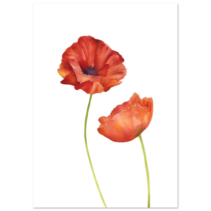Watercolor Red Poppies - Poster - Arthena