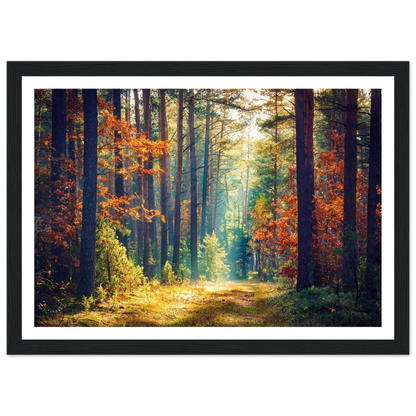 Path of Autumn Glow - Poster - Arthena