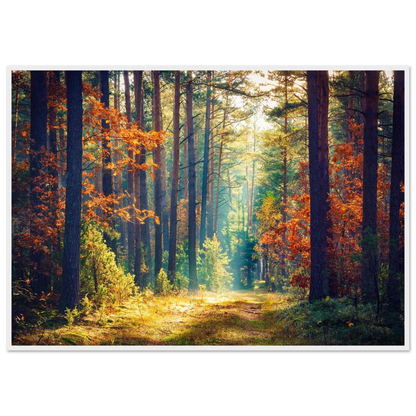 Path of Autumn Glow - Poster - Arthena