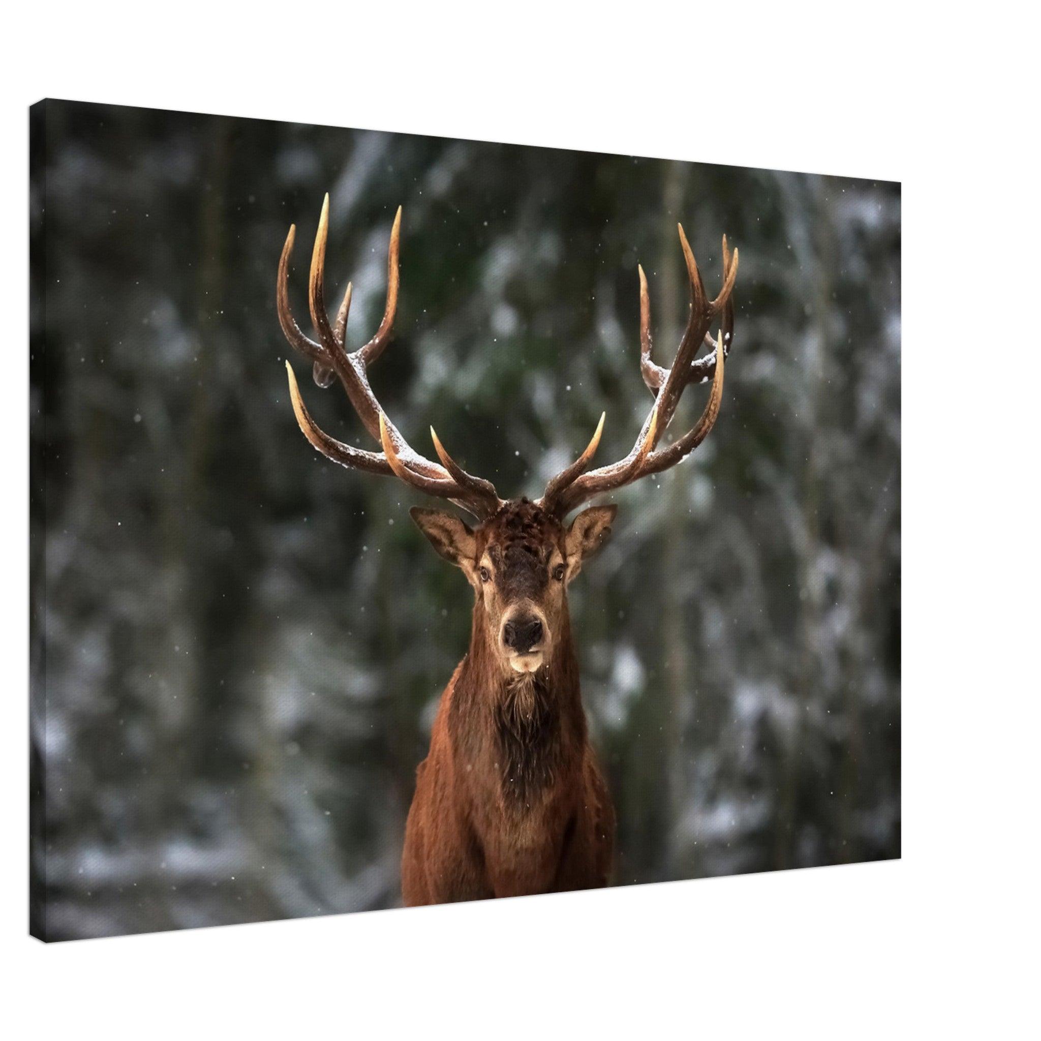 Stag in snow - Canvas - Arthena