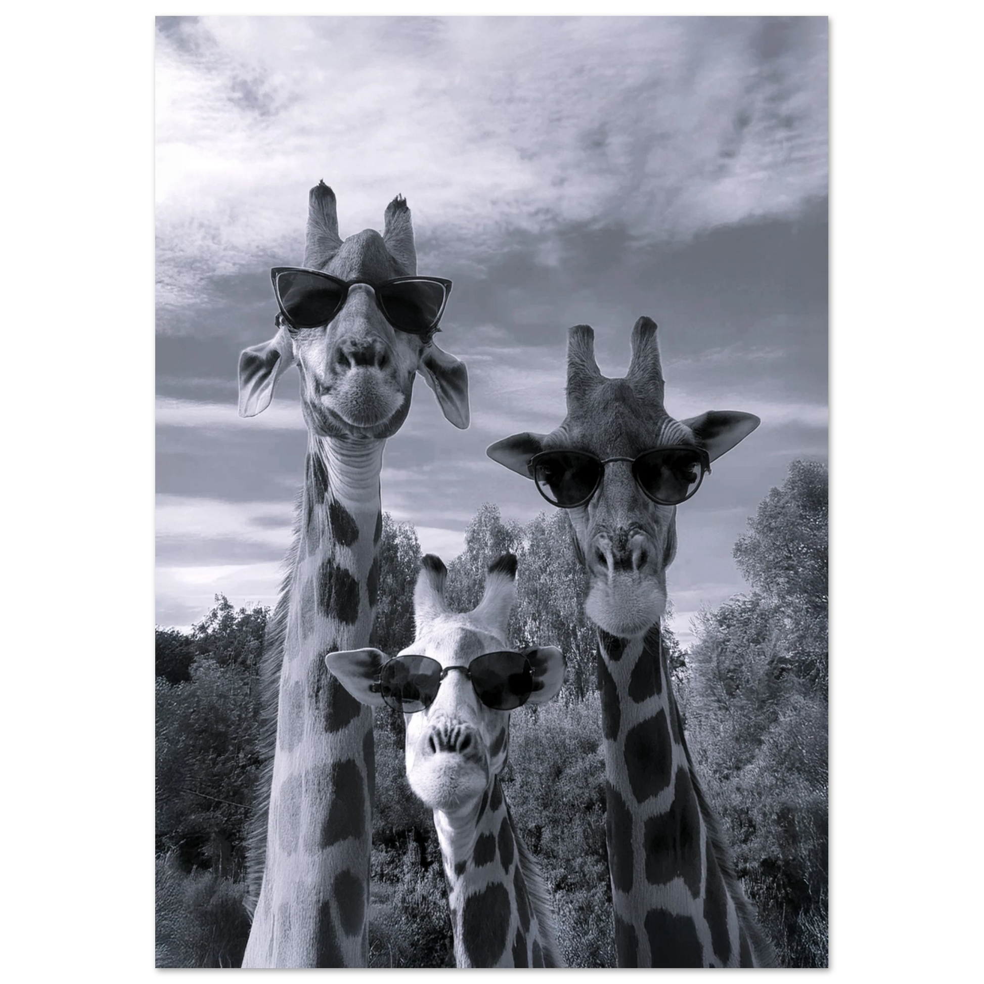 A Sunny Day to be a Giraffe - Poster - Arthena