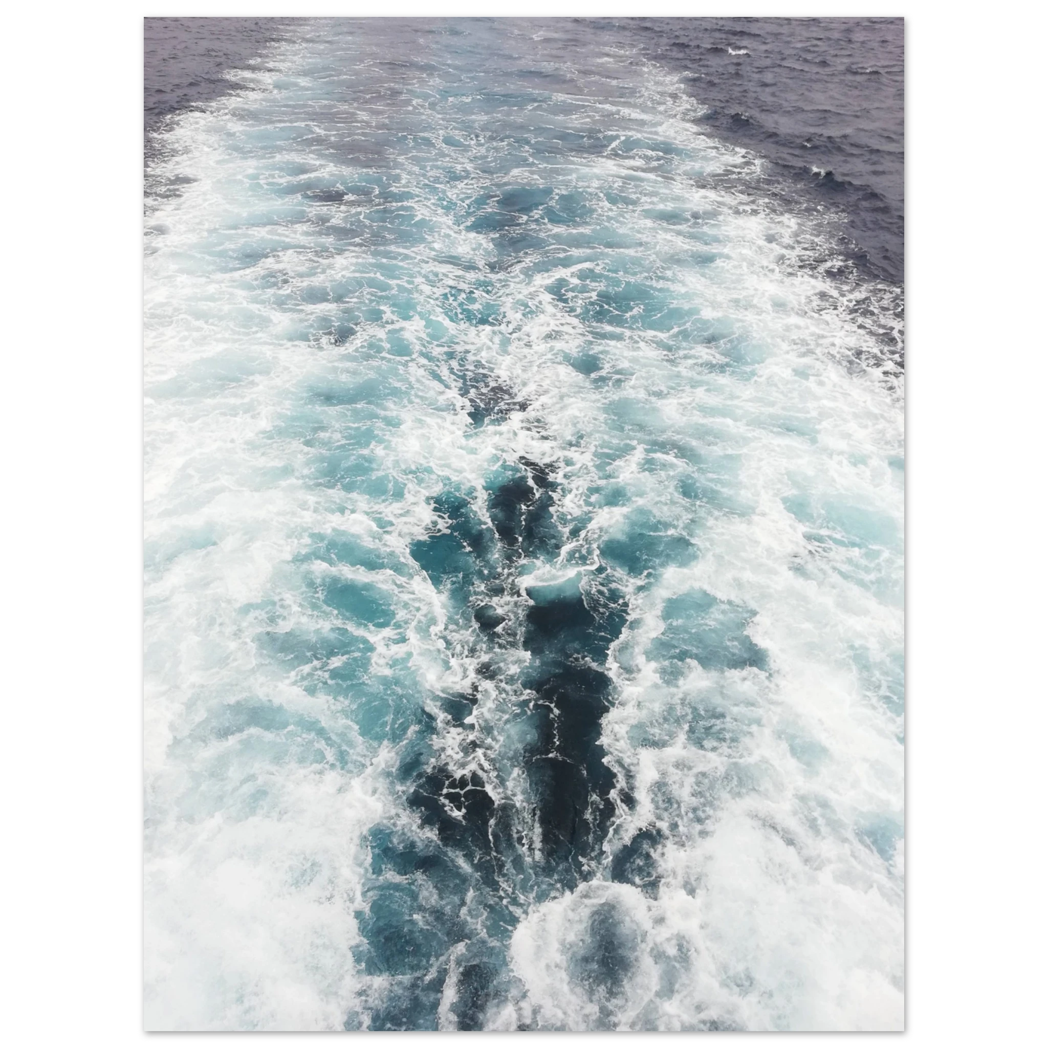 ccd2c8b5-afc9-41e5-9639-ba17ab917a09