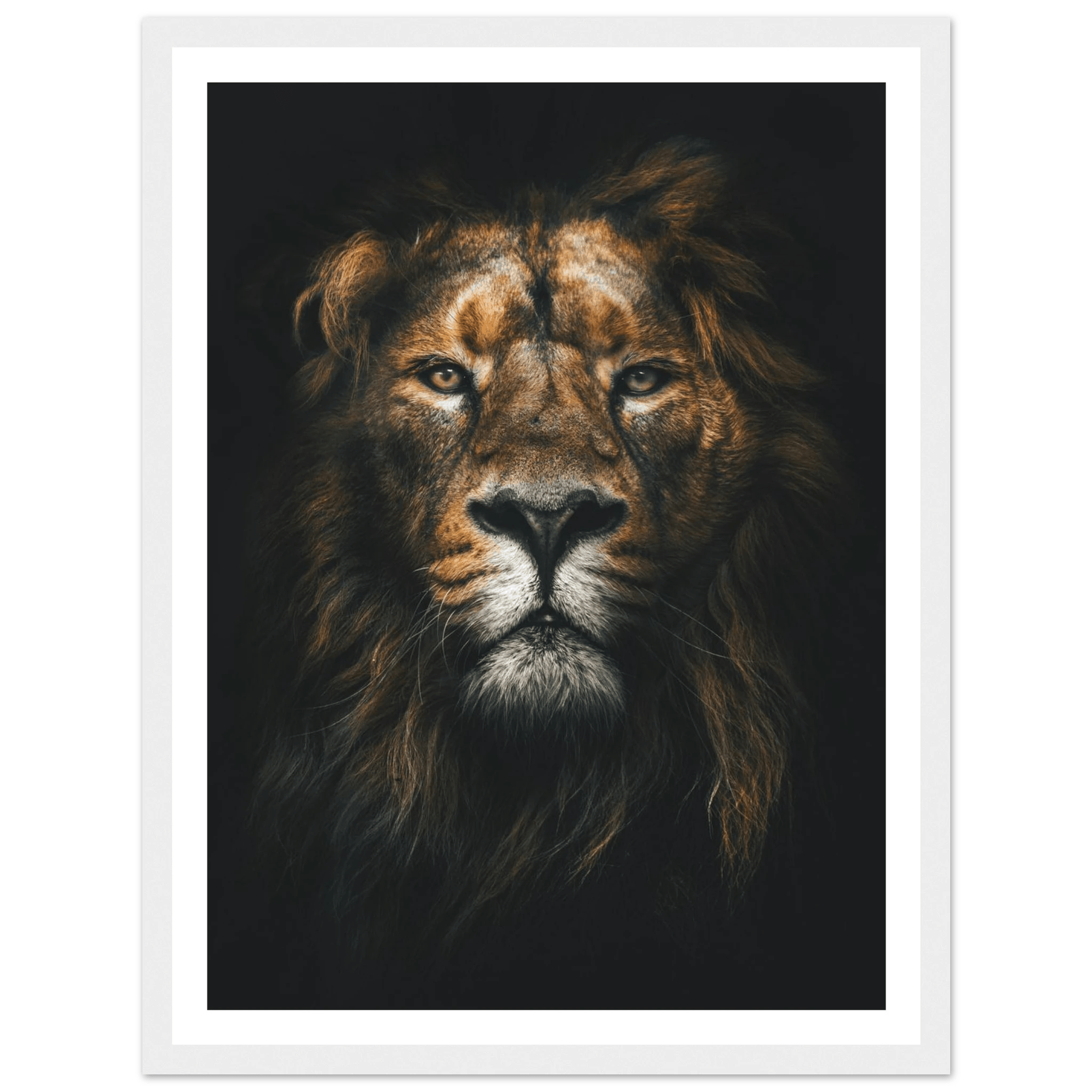 Lion King - Poster - Arthena