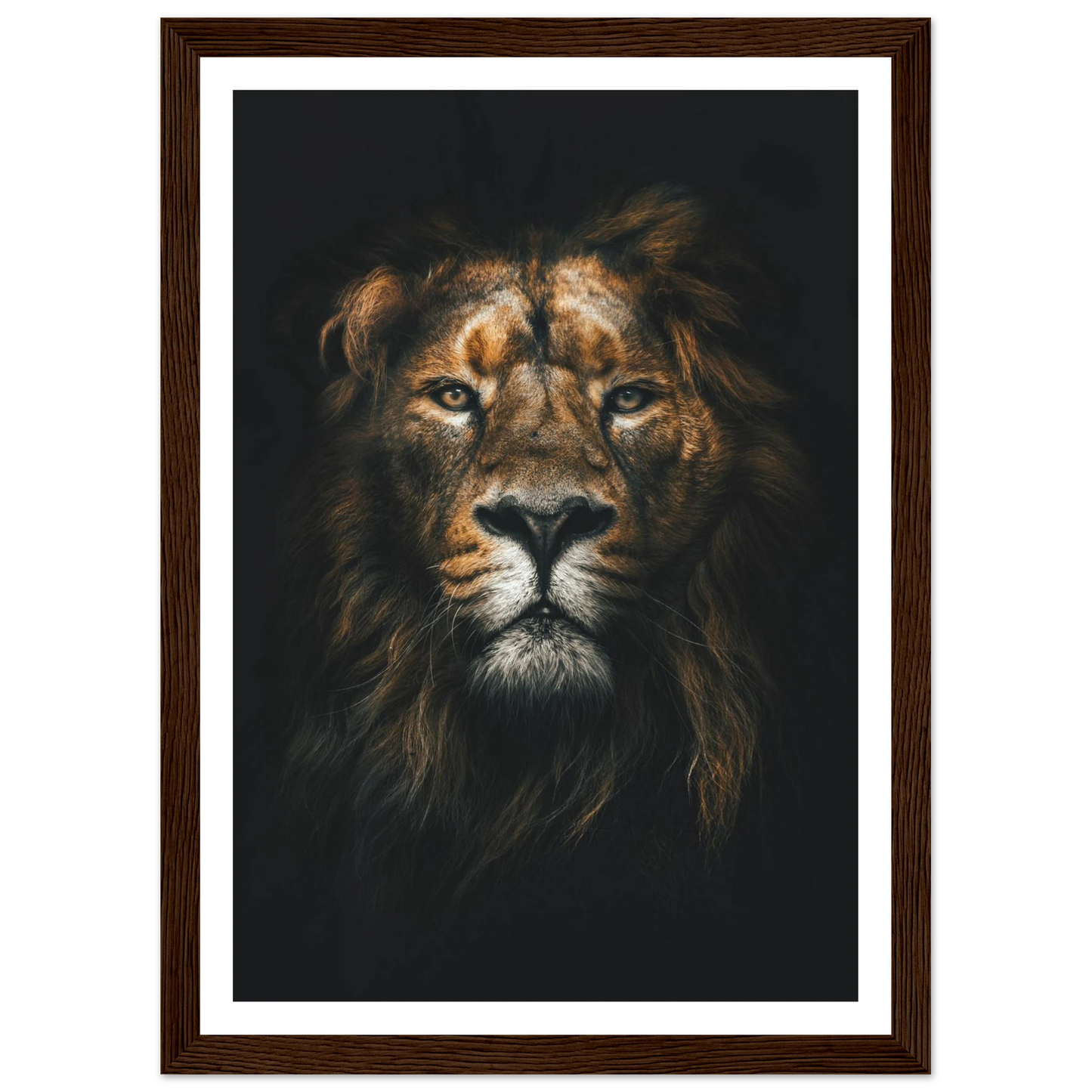 Lion King - Poster - Arthena