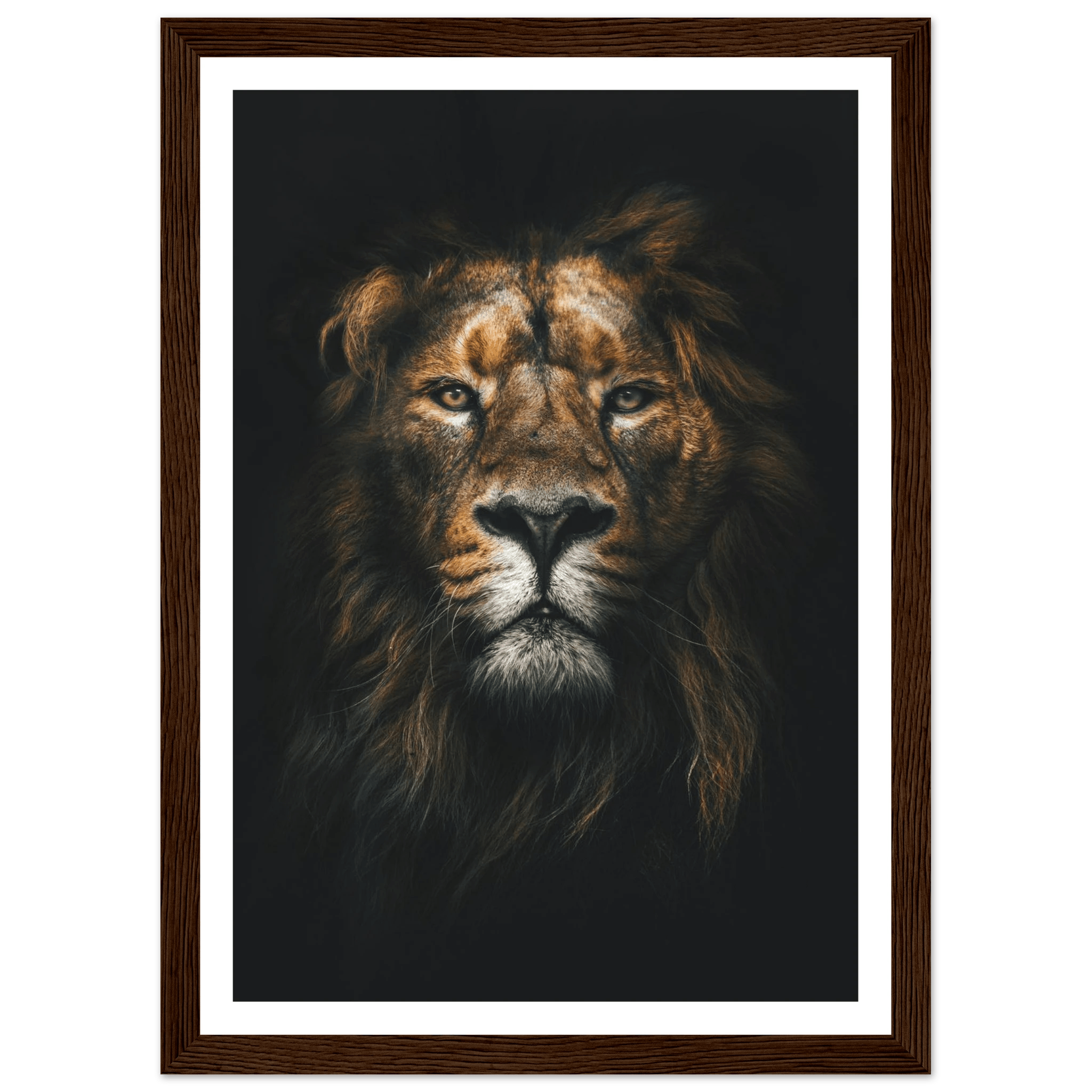 Lion King - Poster - Arthena