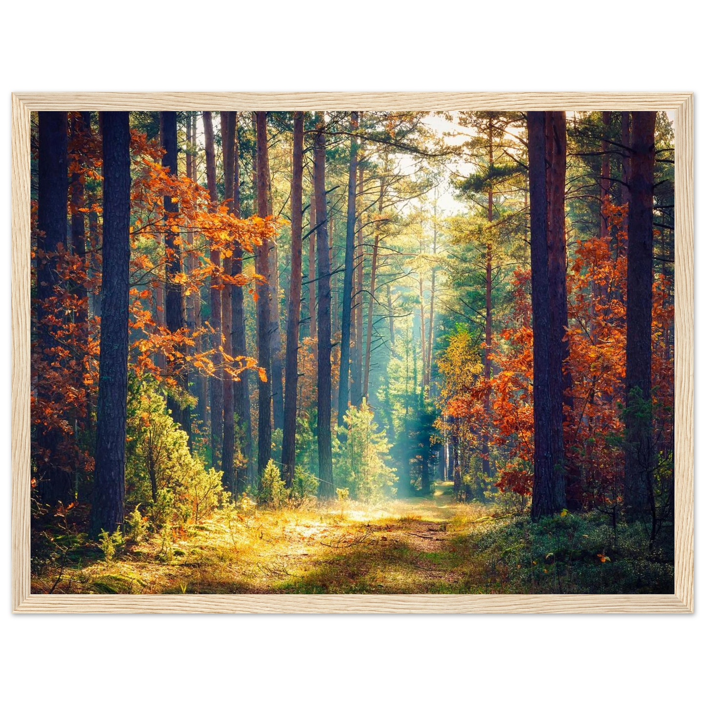 Path of Autumn Glow - Poster - Arthena
