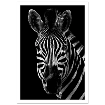 cfb4b2bc-c7b2-49b4-b2ae-e408e60a396a
