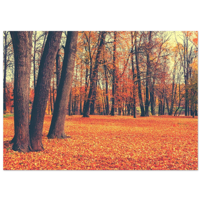Autumn Carpet - Poster - Arthena