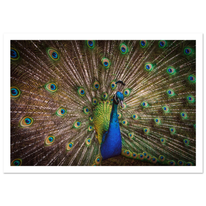 Crown of feathers - Poster - Arthena