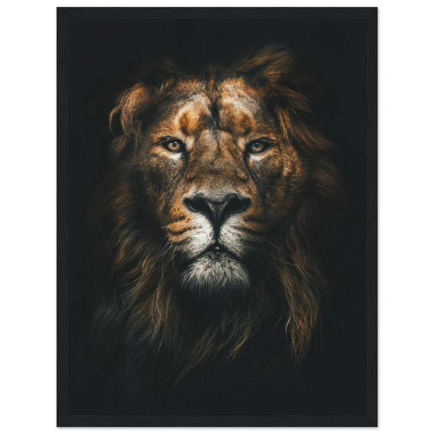 Lion King - Poster - Arthena