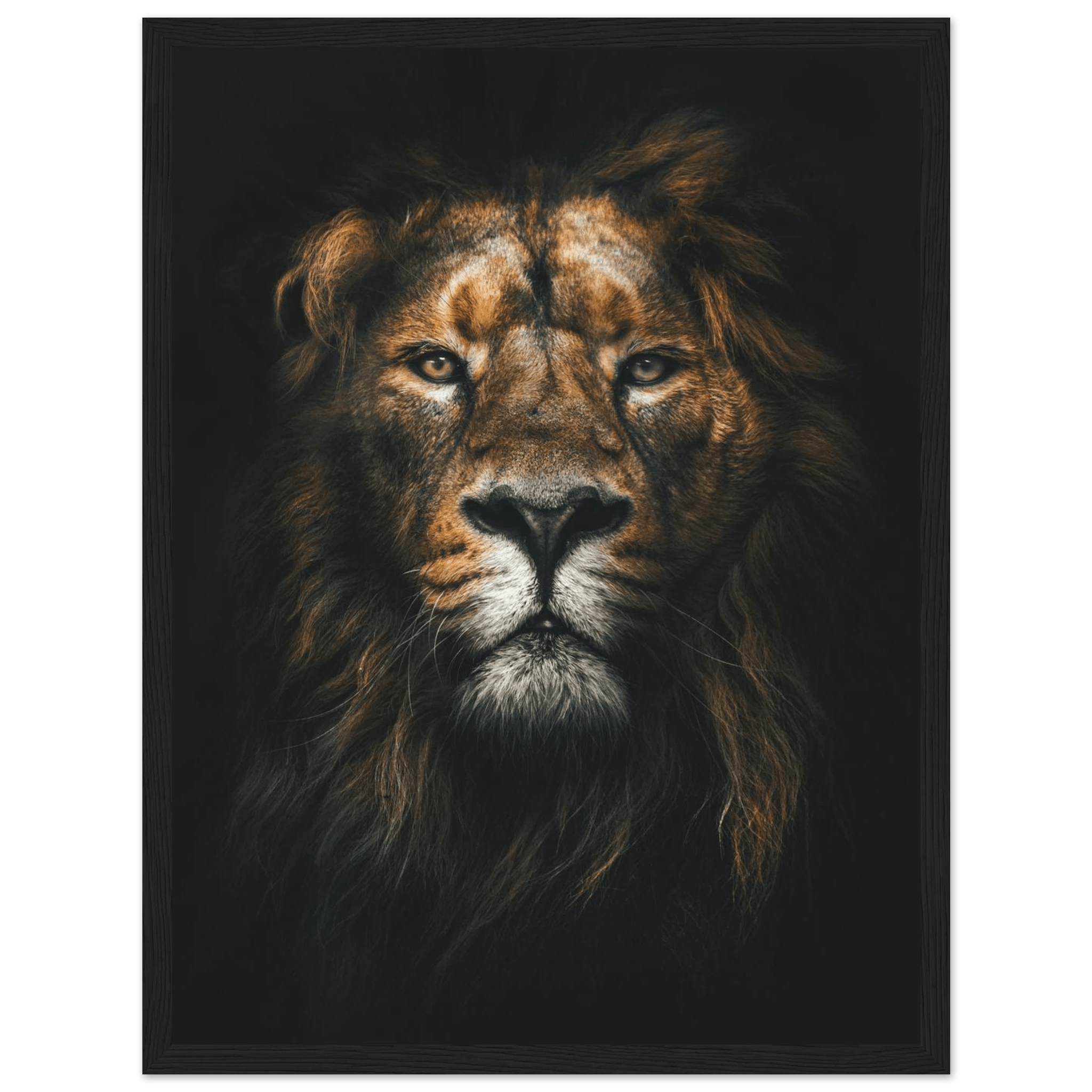 Lion King - Poster - Arthena