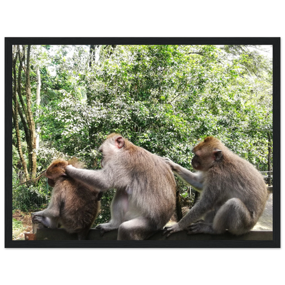 Monkey Scratchers - Poster - Arthena