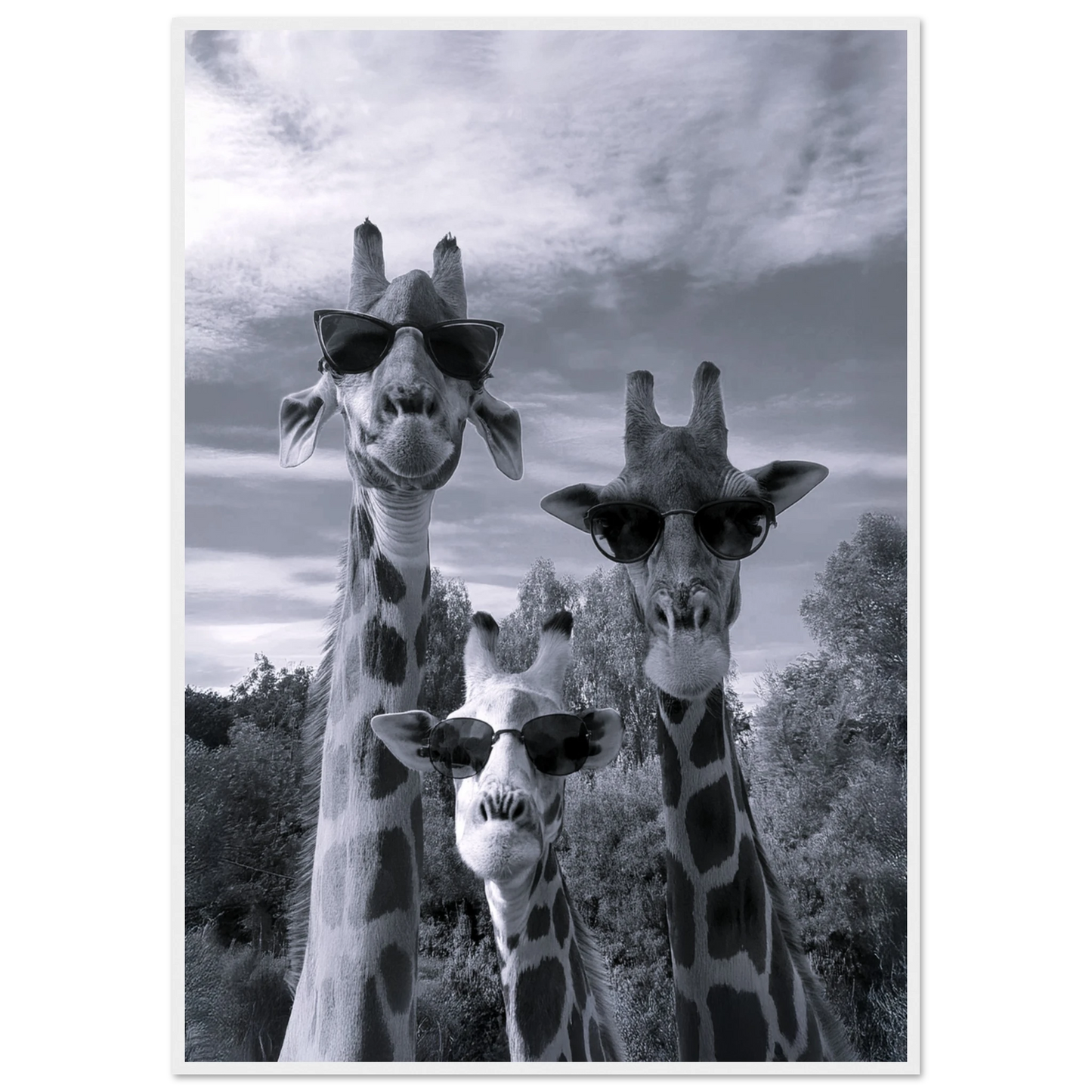 A Sunny Day to be a Giraffe - Poster - Arthena