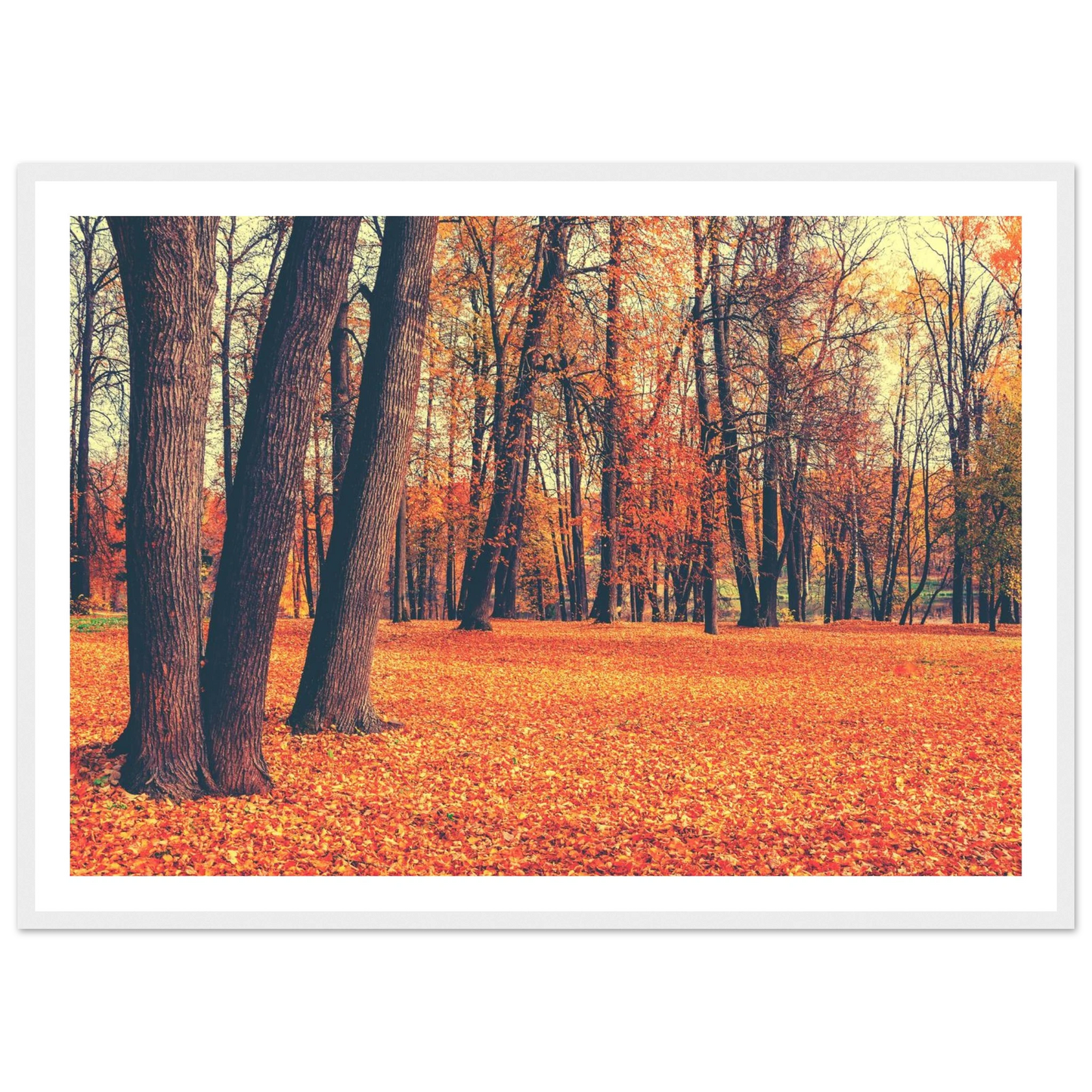 Autumn Carpet - Poster - Arthena