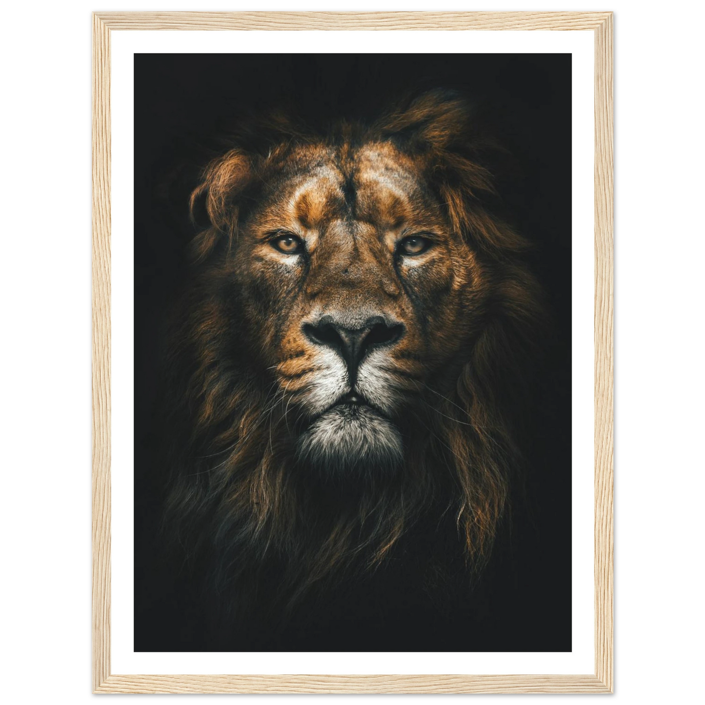 Lion King - Poster - Arthena