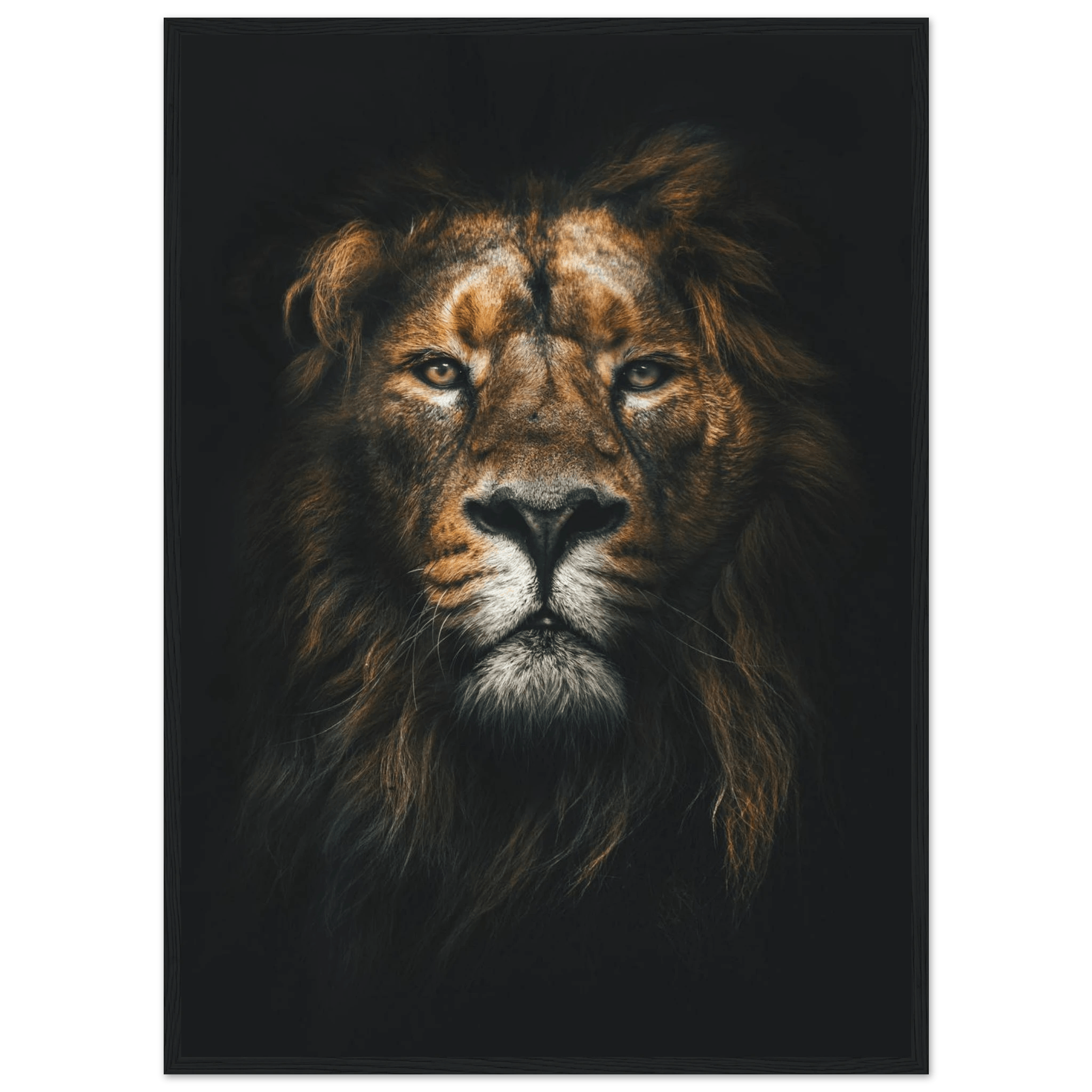 Lion King - Poster - Arthena