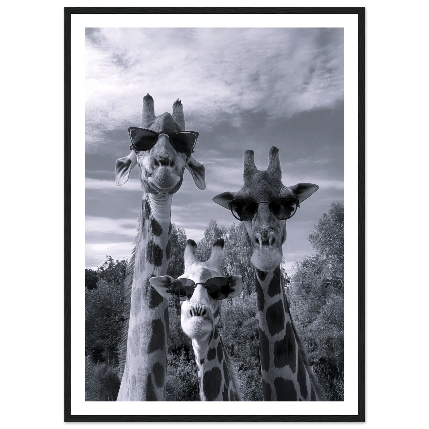 A Sunny Day to be a Giraffe - Poster - Arthena
