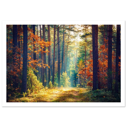 Path of Autumn Glow - Poster - Arthena