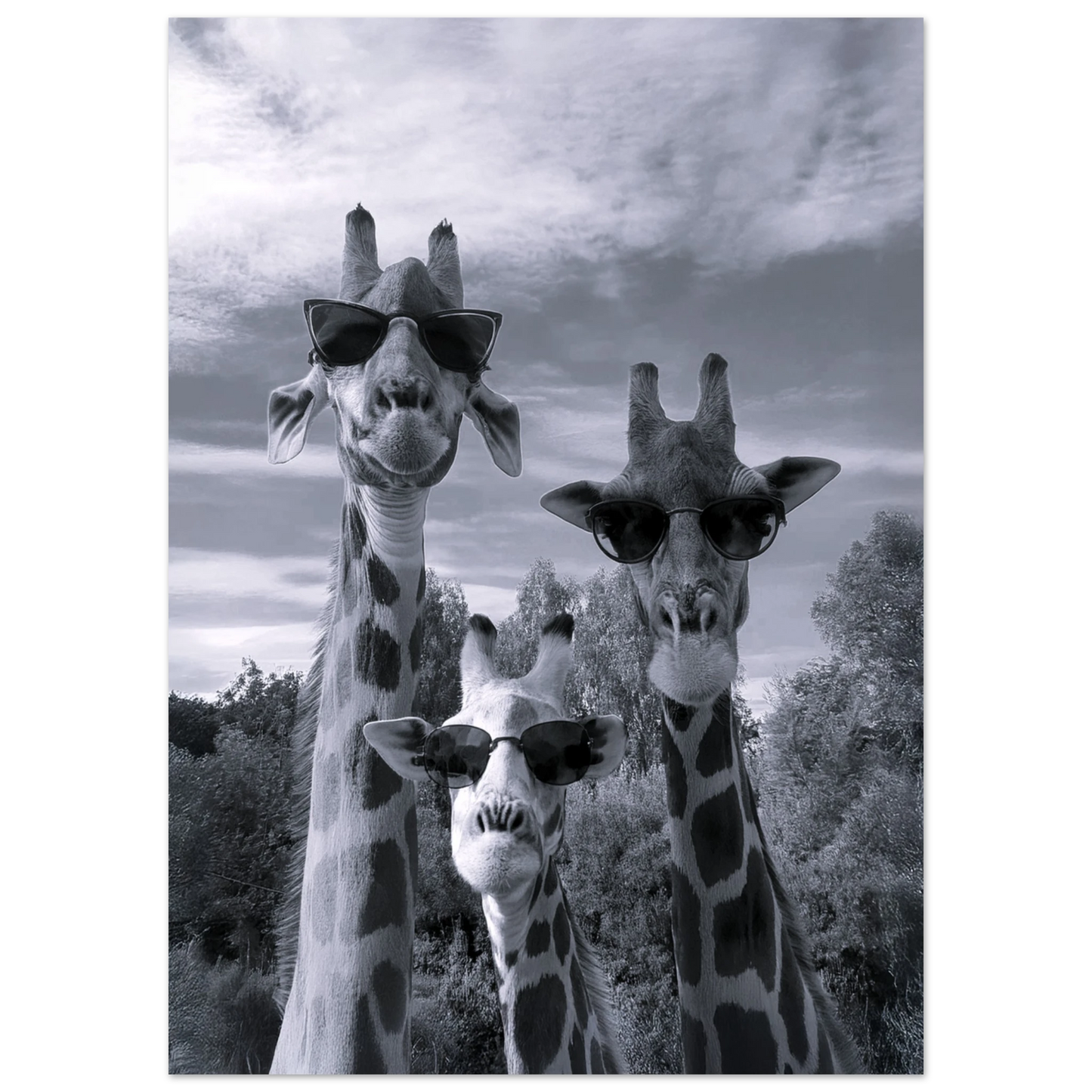A Sunny Day to be a Giraffe - Poster - Arthena