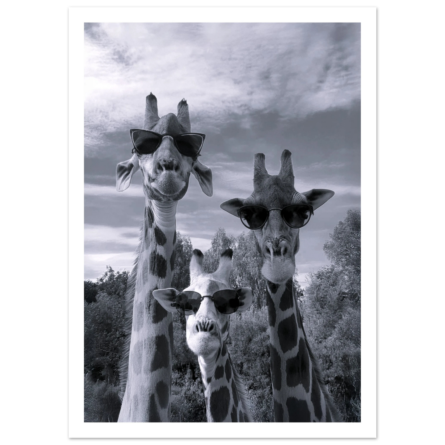 A Sunny Day to be a Giraffe - Poster - Arthena