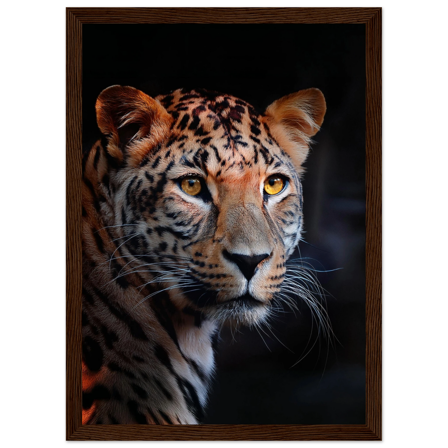 Leopard - Poster - Arthena