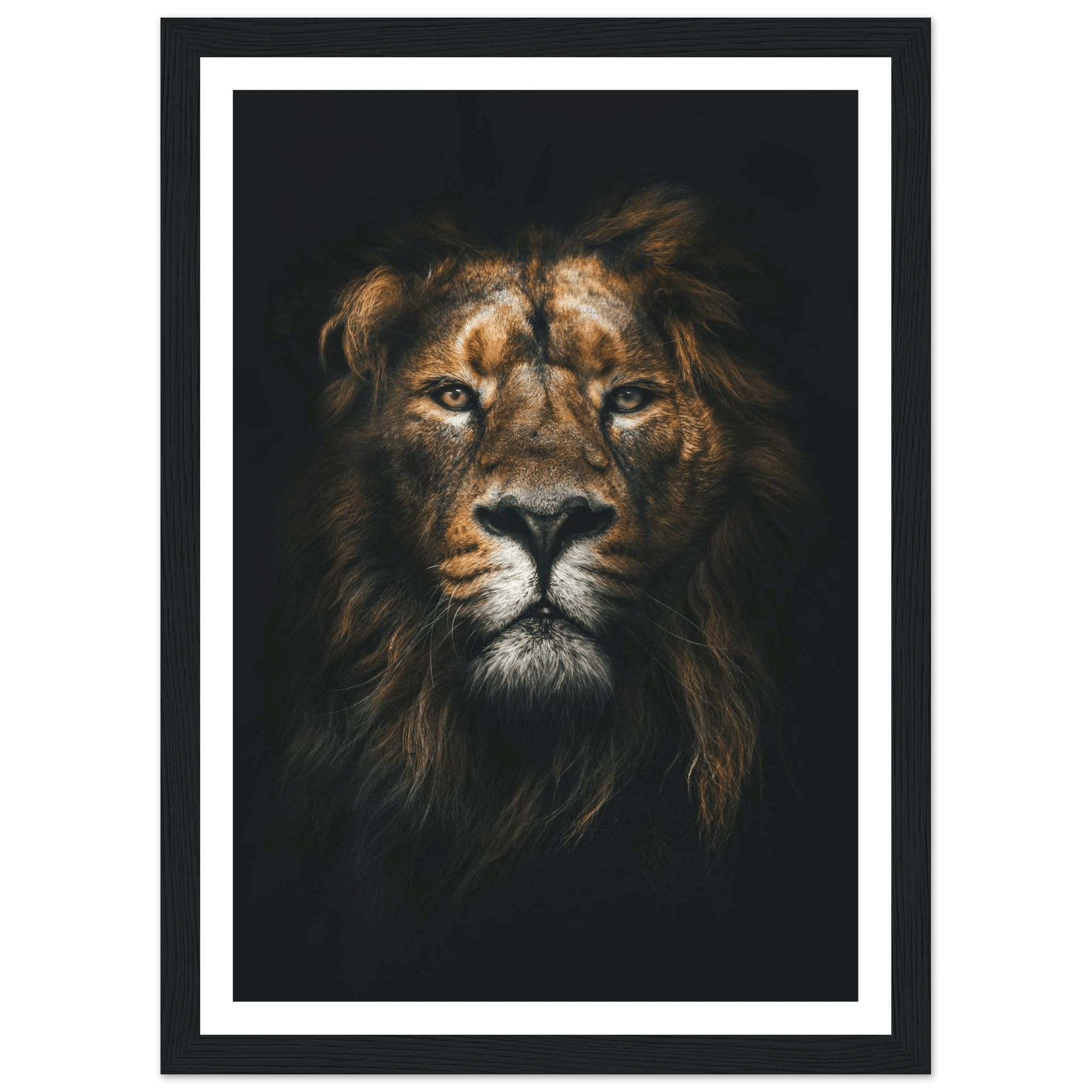 Lion King - Poster - Arthena