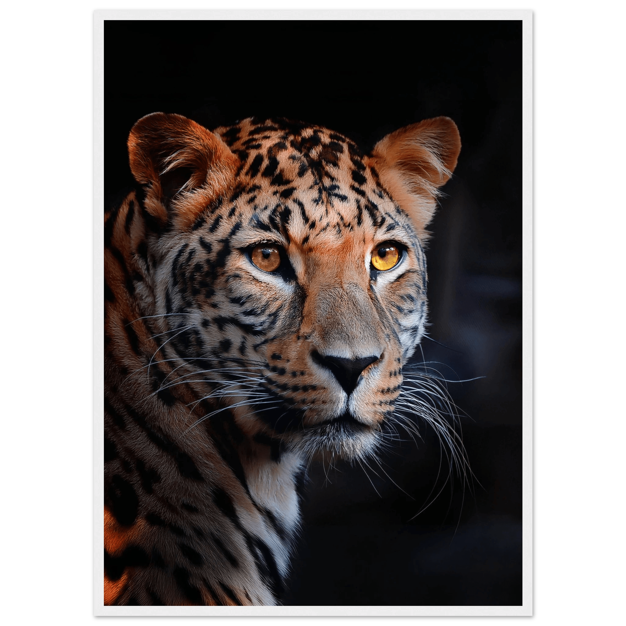 Leopard - Poster - Arthena