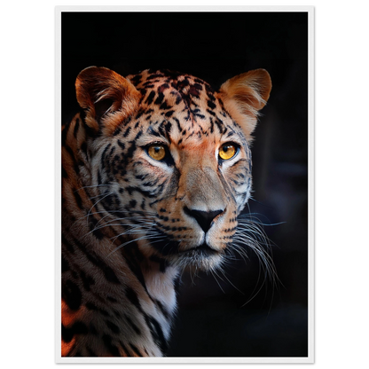 Leopard - Poster - Arthena