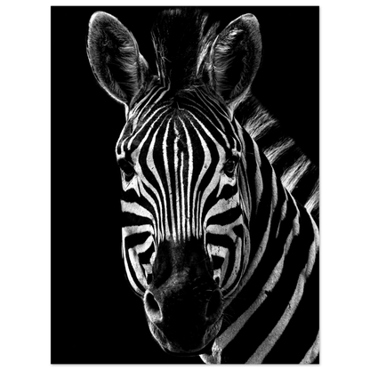 Zebra - Poster - Arthena