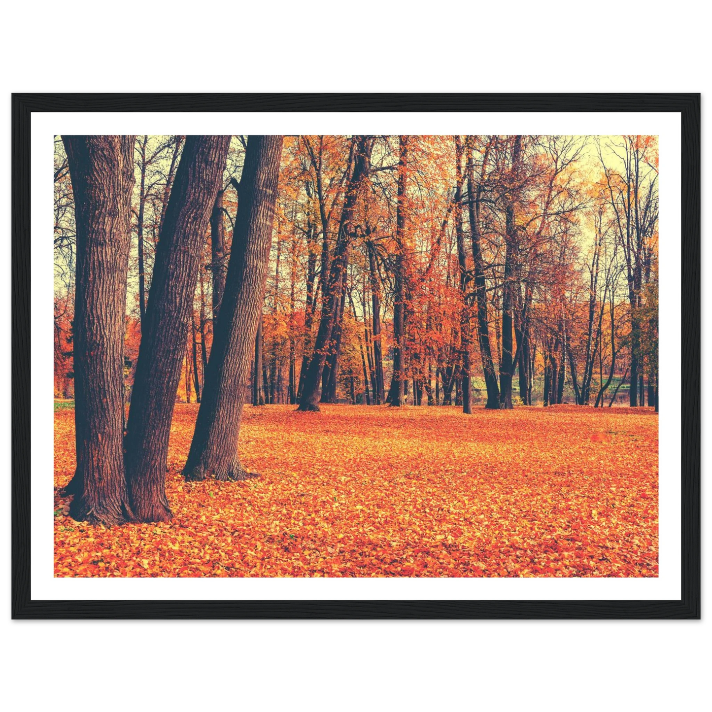Autumn Carpet - Poster - Arthena