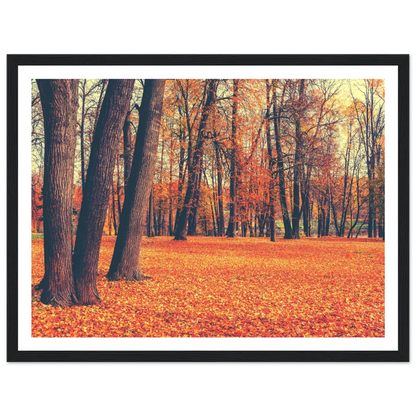 Autumn Carpet - Poster - Arthena