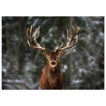 Stag in snow - Poster - Arthena